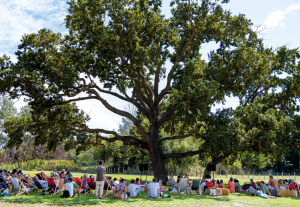 Festival Agir pour le vivant, Arles, 2024
