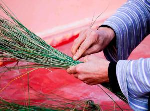 Docteur Fatiha association