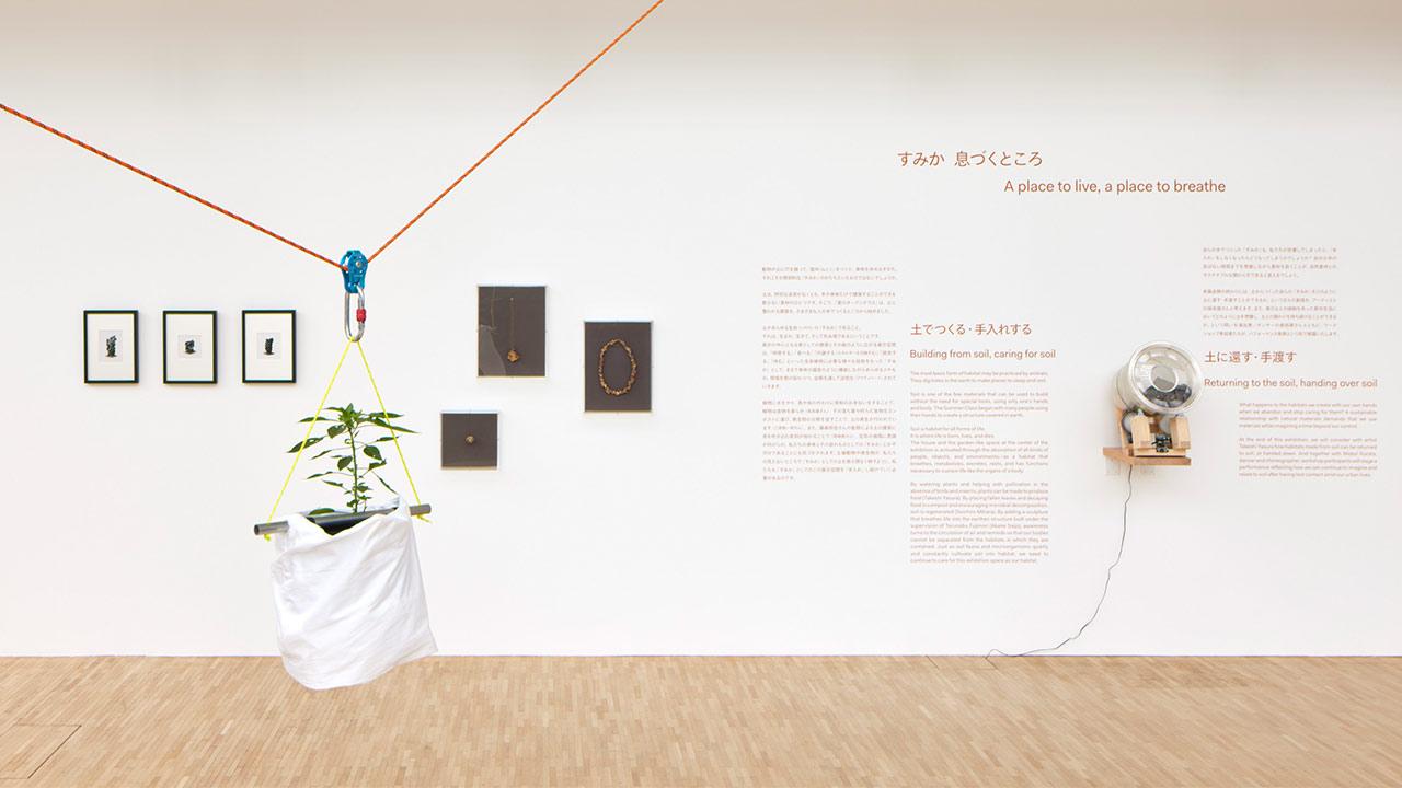 Installation views “Earth-Life Learning”, 2024 © Nacása & Partners Inc. / Fondation d’entreprise Hermès