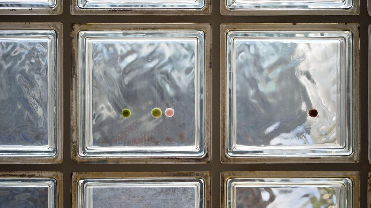 Exhibition views “Rei Naito: come and live – go and live”, Rei Naito, 2024 © Naoya Hatakeyama 