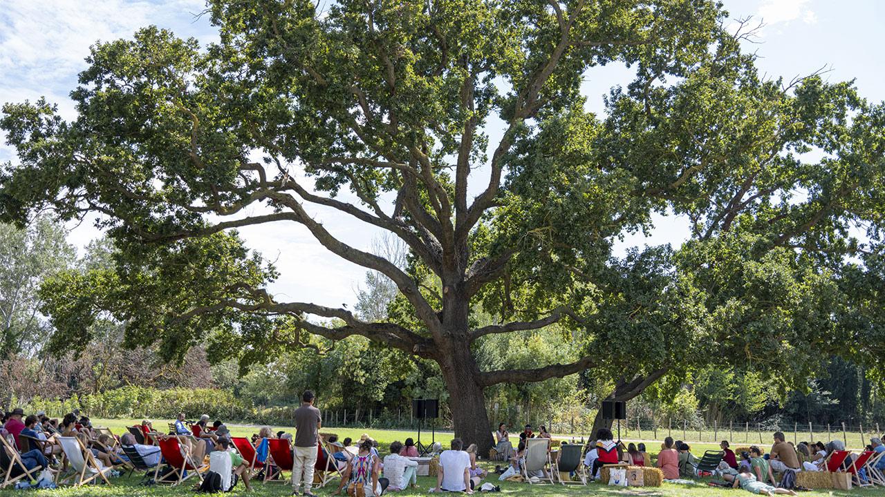  Festival Agir pour le vivant, Arles, 2024 © Benjamin Cayzac