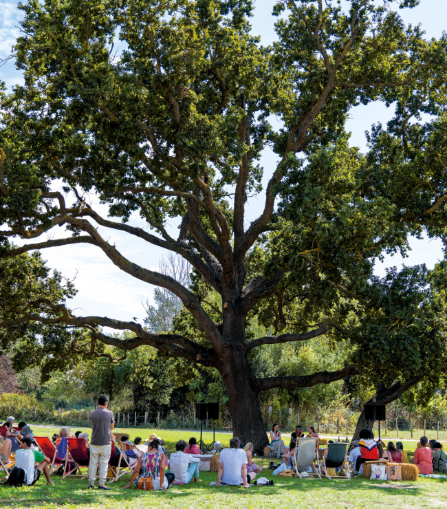 Festival Agir pour le vivant, Arles, 2024