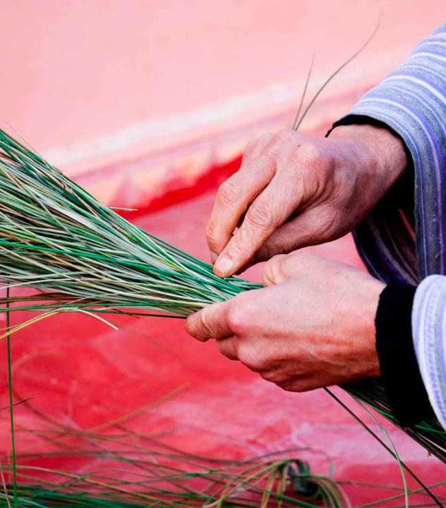 Docteur Fatiha association