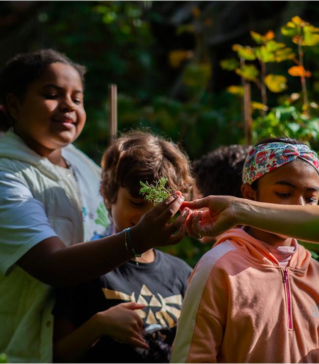 Séance Manuterra © Benoît Teillet