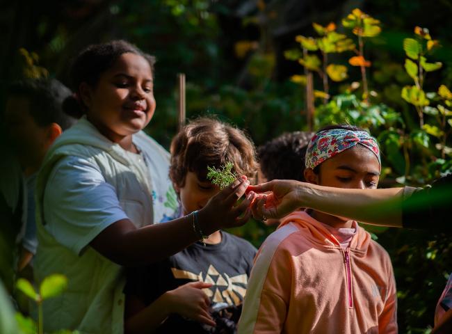 Séance Manuterra © Benoît Teillet