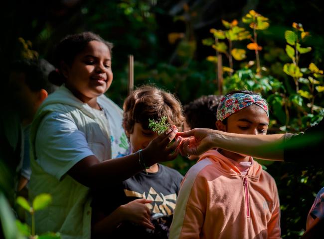 Manufacto - Manuterra